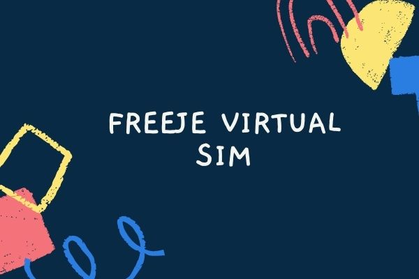 freeje virtual sim