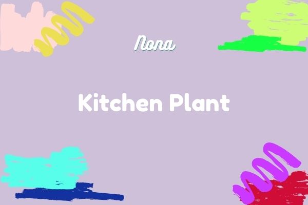 Kitchen Plant